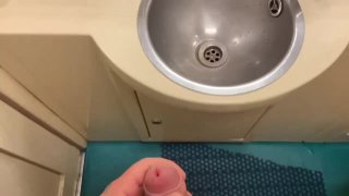 Public Masturbation On The Train