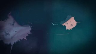 Stella Mae: Last Day Hd Film Trailer