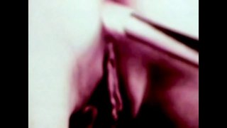 The Wild Colt: Vintage Beauty