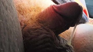 Amateur Cumin Adventure In My Truck