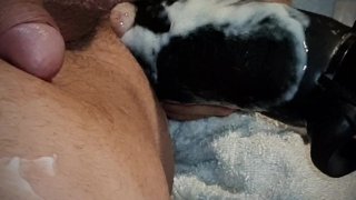 Ecco Il Titolo Ottimizzato Seo Secondo Le Tue Indicazioni: **"anal...