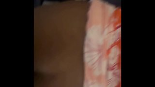 Fat Bull Enjoying Milk With Wet Granny